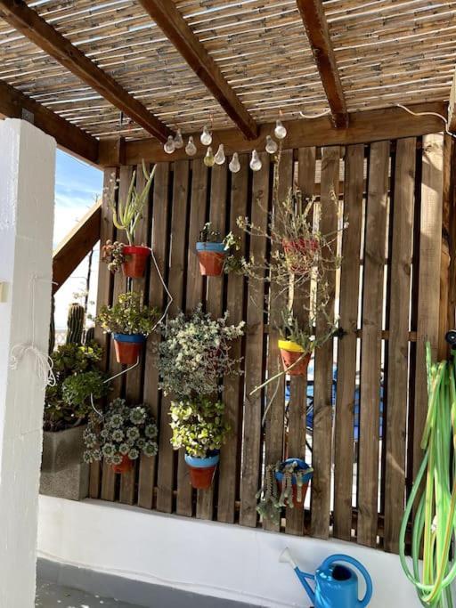 La Casa Del San Anton Villa Níjar Dış mekan fotoğraf